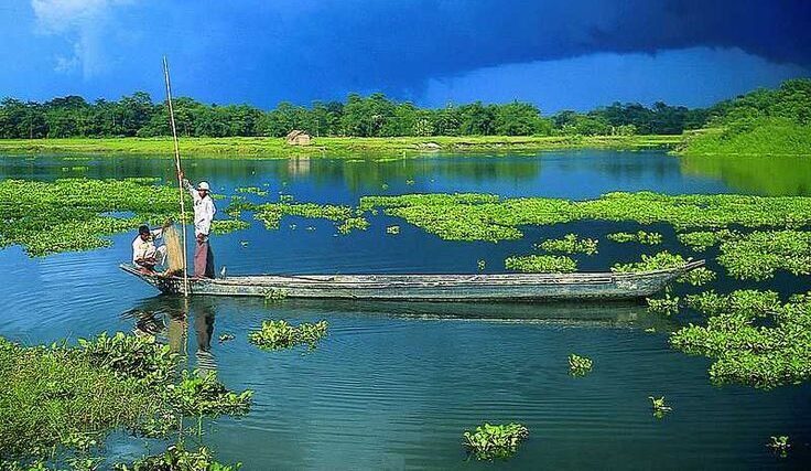 Assam Tourism Guide : Top Places to Visit, Travel Tips & Local Experiences