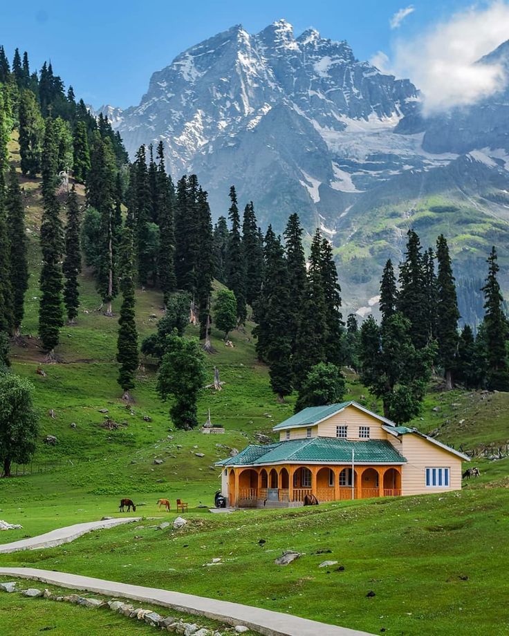 Sonamarg Travel Guide 2025: Top Places to Visit, Things to Do & Essential Tips