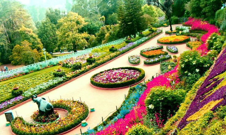 Botanical Garden Chandigarh – Timings, Attractions, Entry Fee & Nearby Places