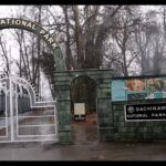 Explore Dachigam National Park: Top Jammu Kashmir Travel Tips & Wildlife Highlights