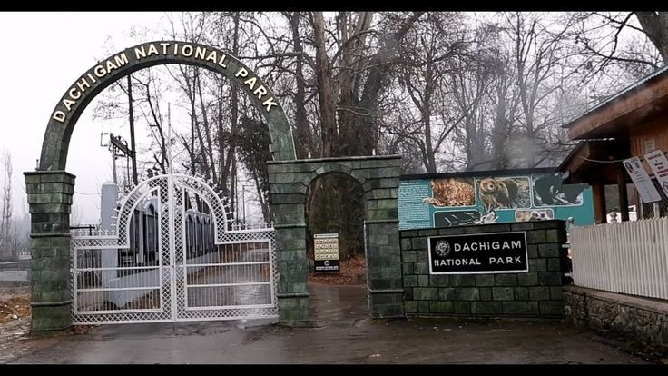 Explore Dachigam National Park: Top Jammu Kashmir Travel Tips & Wildlife Highlights