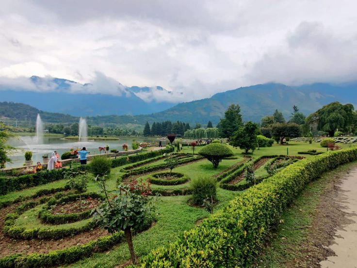 Botanical Bliss in Kashmir: A Guide to Jawaharlal Nehru Memorial Garden
