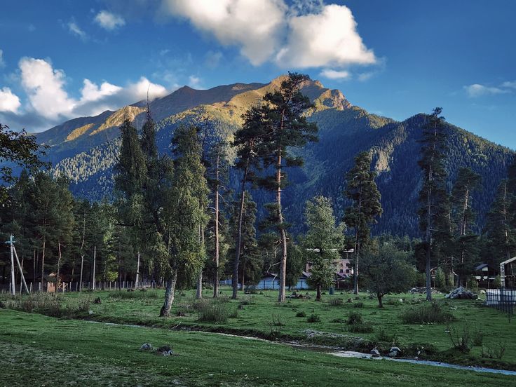 Katra Tourism Guide 2025: Temples, Nature Spots & Hidden Gems