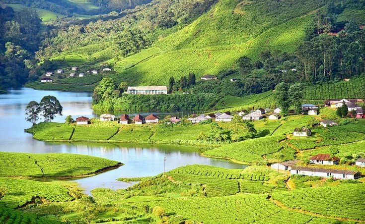 Kerala Tourism Guide 2025: Explore God’s Own Country Like Never Before