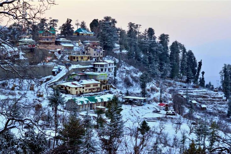 "Kufri Travel Guide 2025: Must-Visit Places, Snow Adventures & More