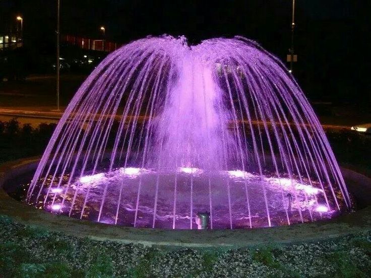 Musical Fountain Chandigarh: A Mesmerizing Light & Sound Show at Sector 17 Plaza