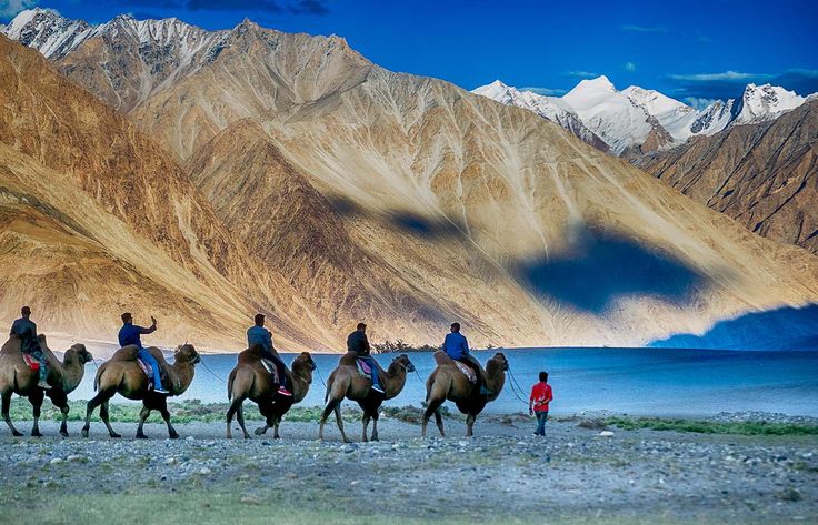 Explore Nubra Valley Ladakh: Complete Guide to Tourist Places and Activities