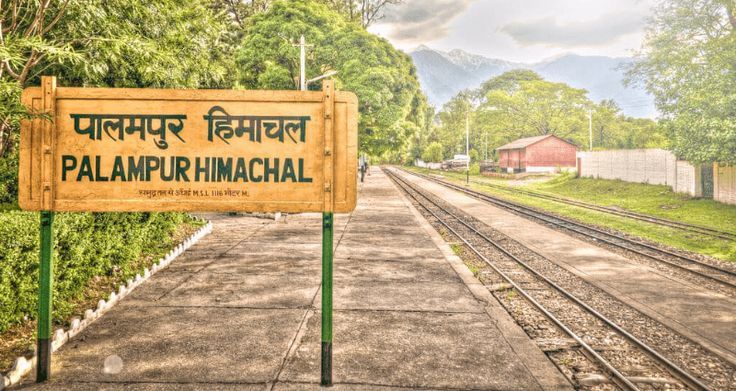 Ultimate Travel Guide to Palampur: Best Tourist Places in Himachal Pradesh (2025)