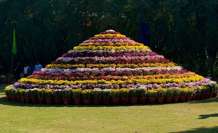Terraced Garden Chandigarh : Complete Travel Guide with Timings, Attractions & More
