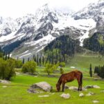 Thajiwas Glacier Jammu Kashmir: Complete Tourist Guide & Travel Tips