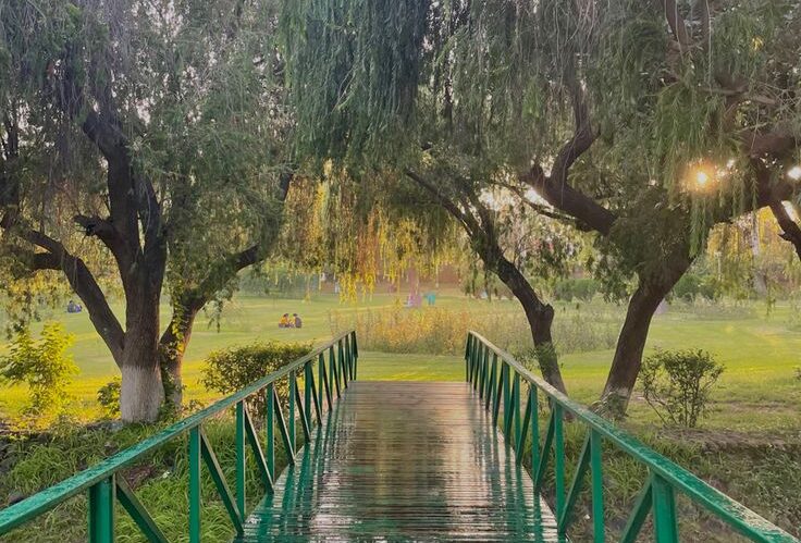 Topiary Park Tourist Guide: Best Things to Do in Chandigarh's Animal Garden