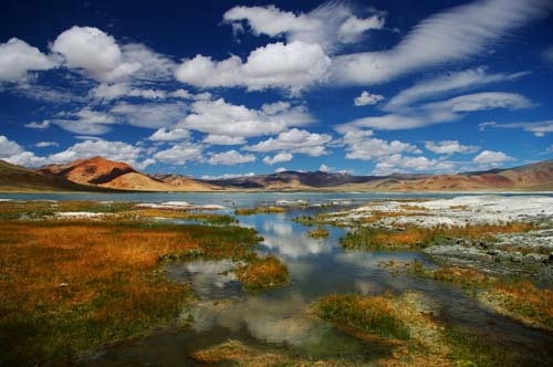 Tso Kar Lake Ladakh: Ultimate Guide to Visiting the White Salt Lake & Rupshu Valley