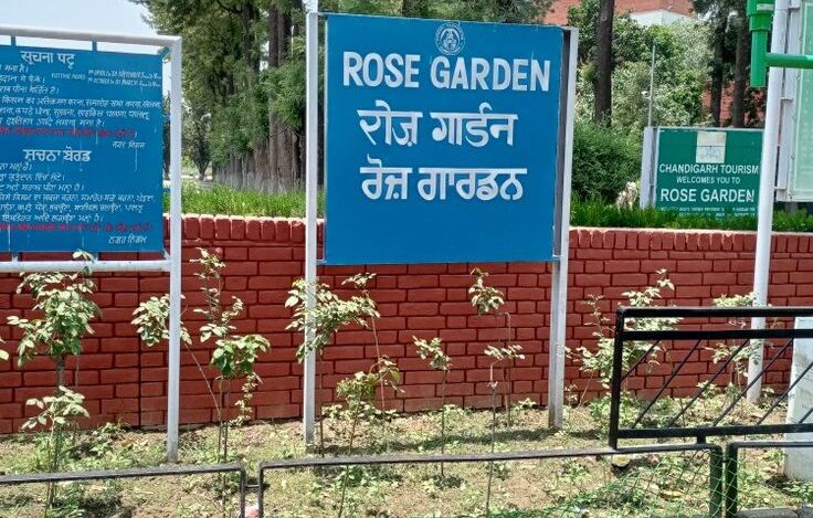 Zakir Husain Rose Garden Chandigarh: Asia’s Largest Blooming Paradise