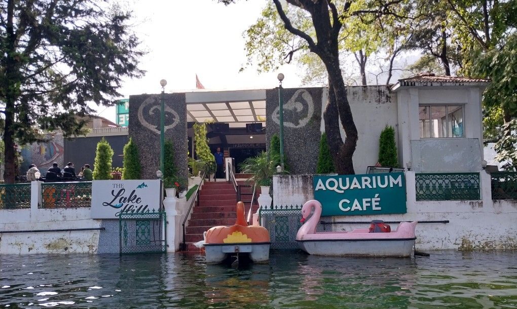 Discover Aquarium Island Cafe Bhimtal 2025– Uttarakhand’s Floating Cafe Paradise on the Lake