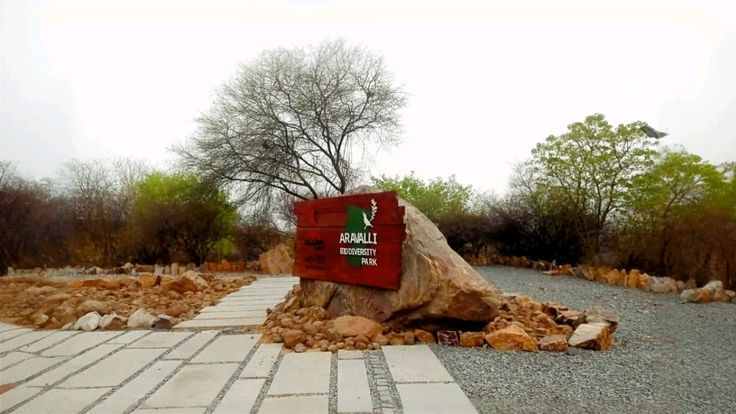Discover Aravali Biodiversity Park 2025: Top Nature Tourist Spot in Gurgaon, Haryana