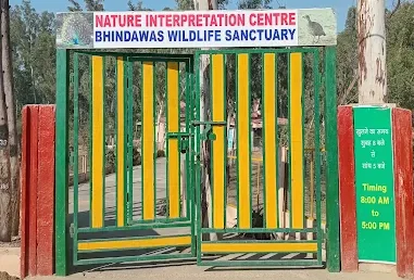 Bhindawas Wildlife Sanctuary Haryana 2025: Complete Travel Guide, Birdwatching & Nearby Attractions