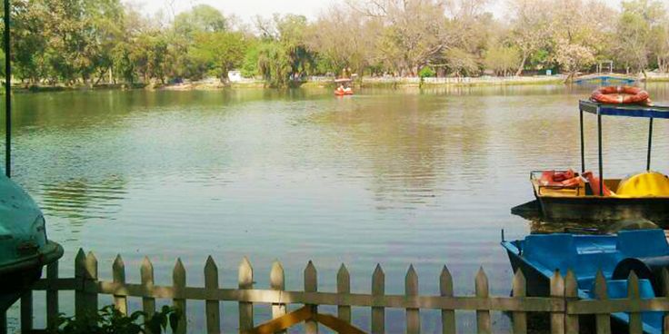 Chetak Park Bathinda: Complete Guide to Punjab’s Best Family-Friendly Tourist Spot 2025