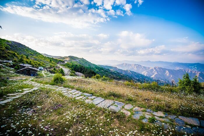 Dhanaulti Tourism Guide 2025: Best Places to Visit, Things to Do & Travel Tips