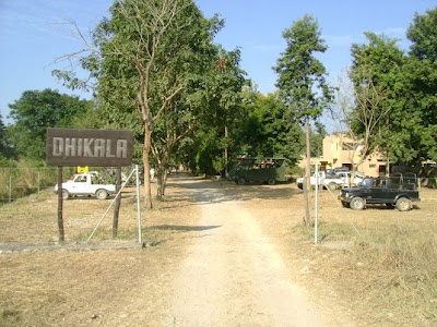 Dhikala Zone in Dogadda Range, Uttarakhand 2025: Complete Travel Guide, Safari Info & Tourist Attractions
