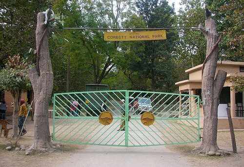 Top Tourist Attractions in Jim Corbett National Park | Complete Travel Guide 2025