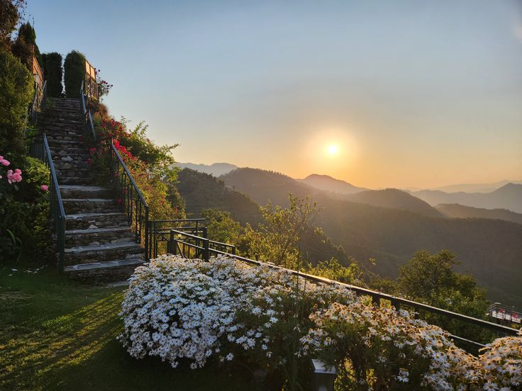 Discover Kanatal: Must-Visit Tourist Spots, Adventure Activities & Travel Tips (Updated 2025)