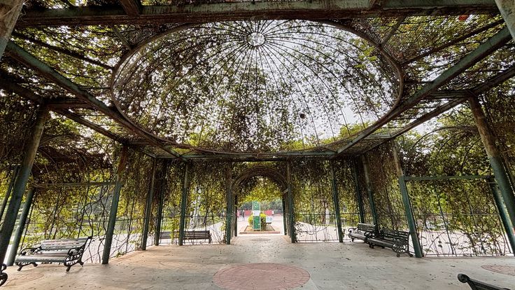 Leisure Valley Park Gurgaon 2025: Complete Travel Guide, Timings, Entry Fee & Top Attractions