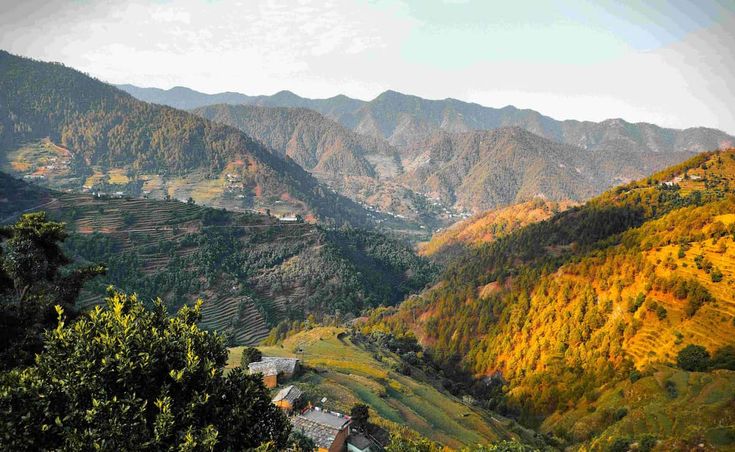 Pangoot Tourism 2025: Complete Guide to Attractions, Treks, and Birdwatching Spots