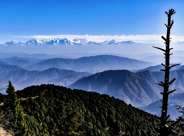 Snow View Point Nainital 2025: Complete Travel Guide to Top Tourist Place in Uttarakhand (Timings, Ropeway, Tips & More)