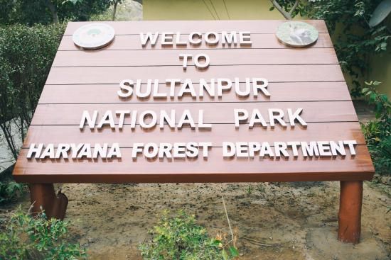 Sultanpur National Park Travel Guide 2025: Best Bird Sanctuary Near Delhi for Nature & Wildlife Lovers