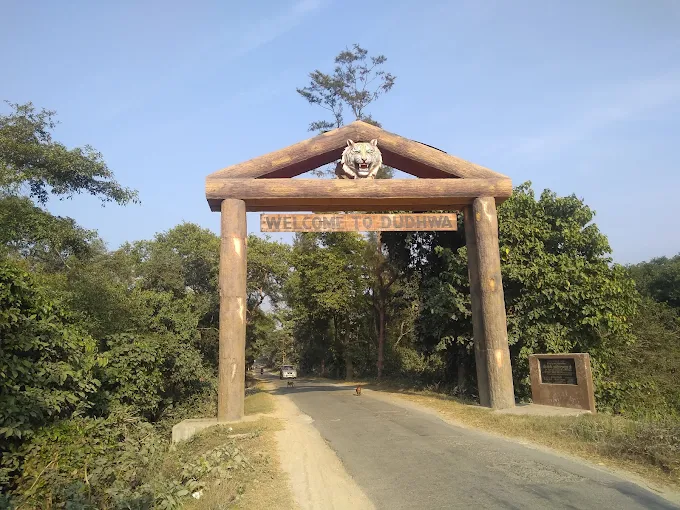 Dudhwa National Park Travel Guide 2025: Top Tourist Attractions, Complete Safari Details & How to Visit