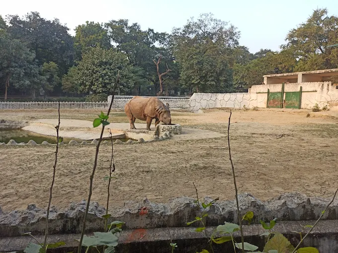 Kanpur Zoological Park 2025: Complete Travel Guide to Top Tourist Place in Uttar Pradesh (Timings, Ticket Price, Attractions)
